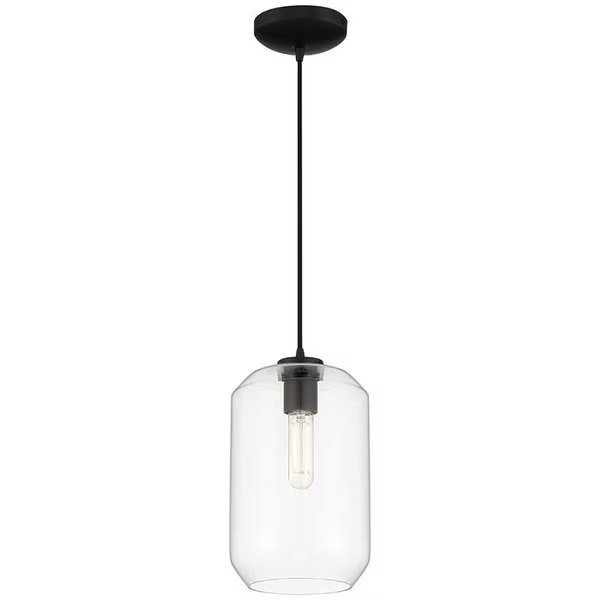 Clarity, LED Pendant, Black Finish, Clear Glass, Access Lighting, Mfr#: 29010LEDDLP-BL/CLR