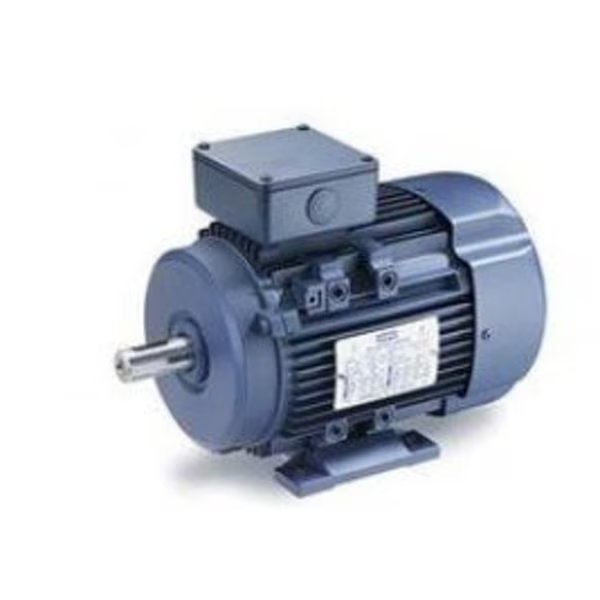 Motor, 0.75 HP General Purpose, 1 phase, 3600 RPM, 115/230 V, 80 Frame, TEFC, Leeson, Mfr#: 192256.00