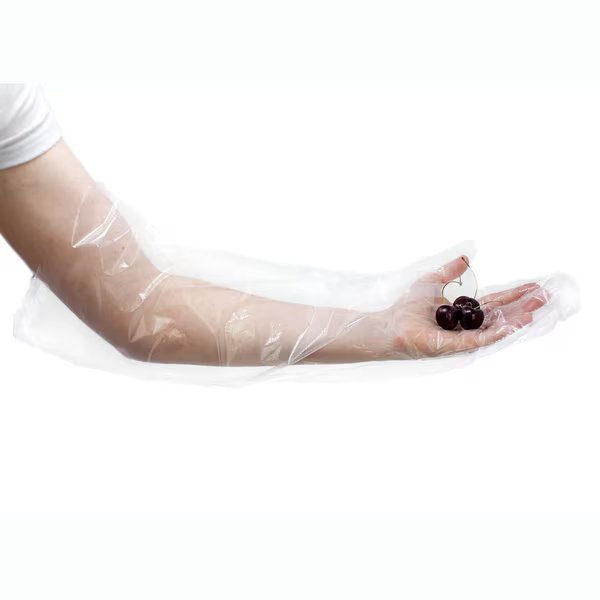 Poly Disposable Gloves, High Density Polyethylene, OneSize, 100 PK, Clear, Kleen Chef, Mfr#: BL-KCFS-MS-PEEL-CLDG-01