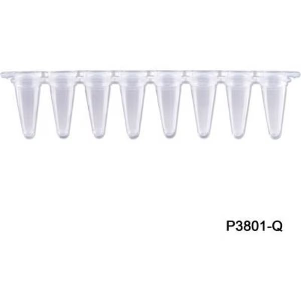 MTC Bio PureAmp 8 Strips QPCR Tube with Separated Strip Cap, 0.1 ml, Clear, 120 Pack, Mtc Bio, Mfr#: P3801-Q