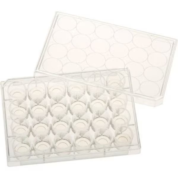 CELLTREAT 24 Well Tissue Culture Plate with Lid, 10mm Glass Bottom, Individual, Sterile, 5/PK, Celltreat Scientific Products, Mfr#: 229125