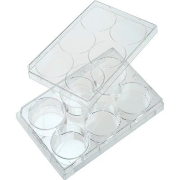 CELLTREAT 6 Well Non-treated Plate with Lid, Individual, Sterile, 100/PK, Celltreat Scientific Products, Mfr#: 229506