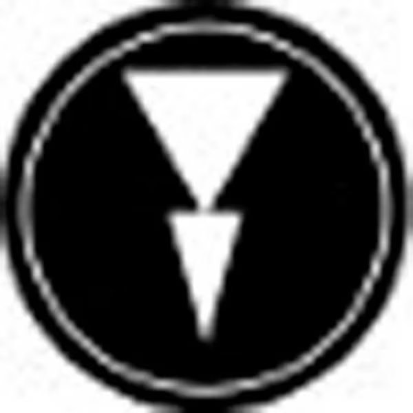 T.E.R., Two Speed Arrow Black Button Insert, Use w/ MIKE & VICTOR Pendants, Springer Controls Co, Mfr#: PRTA012MPI