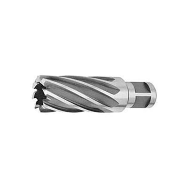 HSS Annular Cutter, 13/16" D, For 2" Depth of Cut, 6 Flutes x 3/4" Sh D, 2 Shank Flats, Abs Import Tools, Mfr#: 50210812