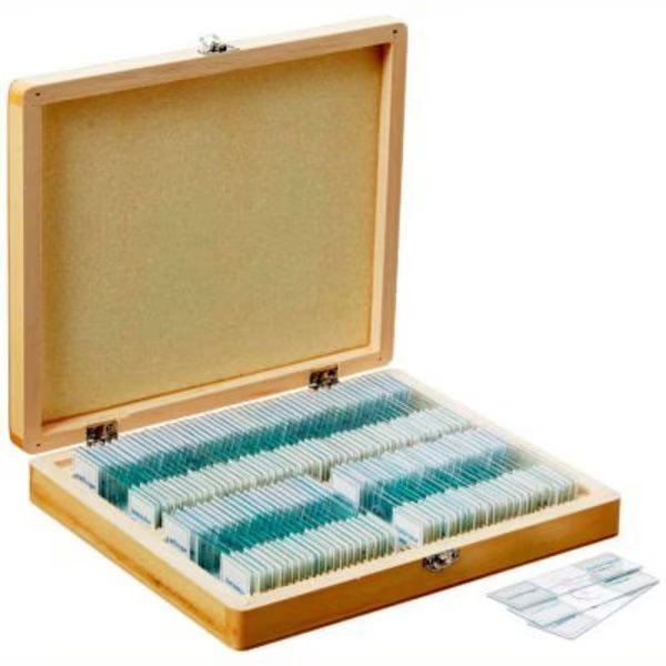 AmScope PS100E 100 pc. Homeschool Biology Prepared Microscope Slides with Wooden Case, United Scope Llc., Mfr#: PS100E