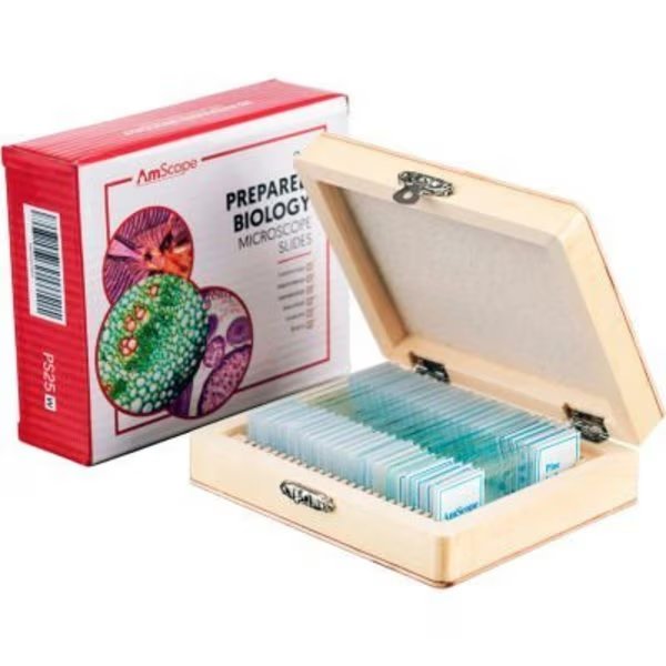 AmScope PS25 25 pc. Glass Prepared Microscope Slides with Wooden Box, United Scope Llc., Mfr#: PS25