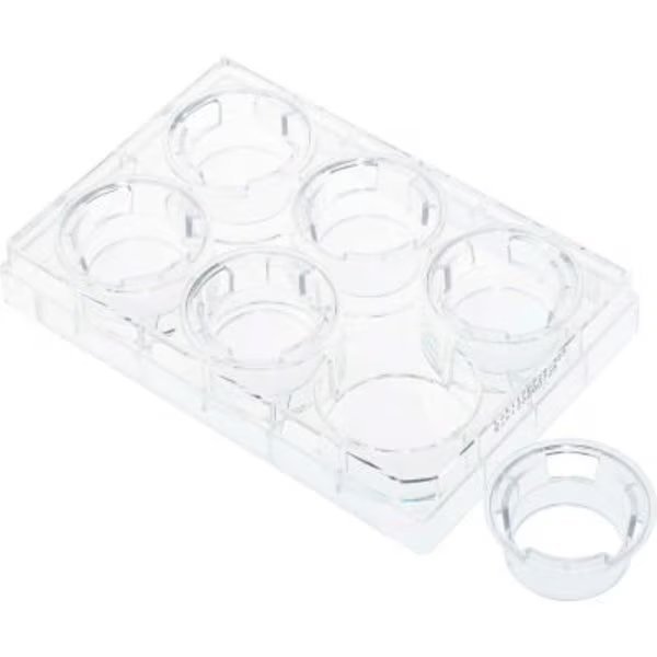 CELLTREAT® Permeable Cell Culture Inserts, Packed in 6 Well Plate, Hanging, PC, 0.4m, Sterile, Celltreat, Mfr#: 230601