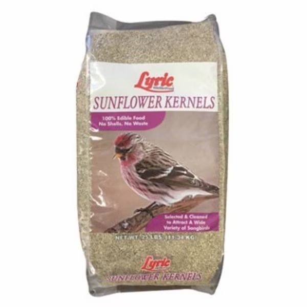 25LB Sun Kernels, Lebanon Seaboard Seedrp, Mfr#: 2647284