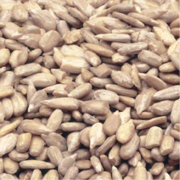 Azar Roasted Salted Sunflower Kernel 2lbs Bag, PK3, Azar, Mfr#: 7115896