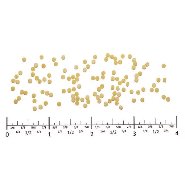 Costa Acini Di Pepe Pasta, 5lbs, PK4, Costa, Mfr#: 2ACI