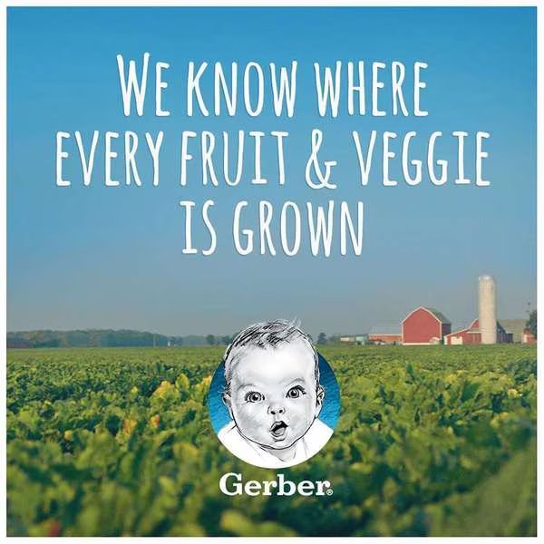 Gerber 1st Foods Butternut Squash Multi Pack 4 oz. Tubs, PK8, Gerber, Mfr#: 00015000910341U