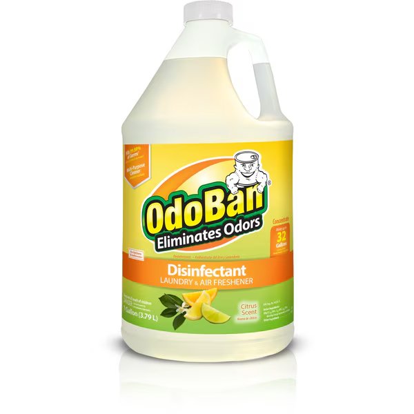Odor Eliminator Disinfectant Concentrate, 1 Gallon, Citrus, Odoban, Mfr#: 911661-G4