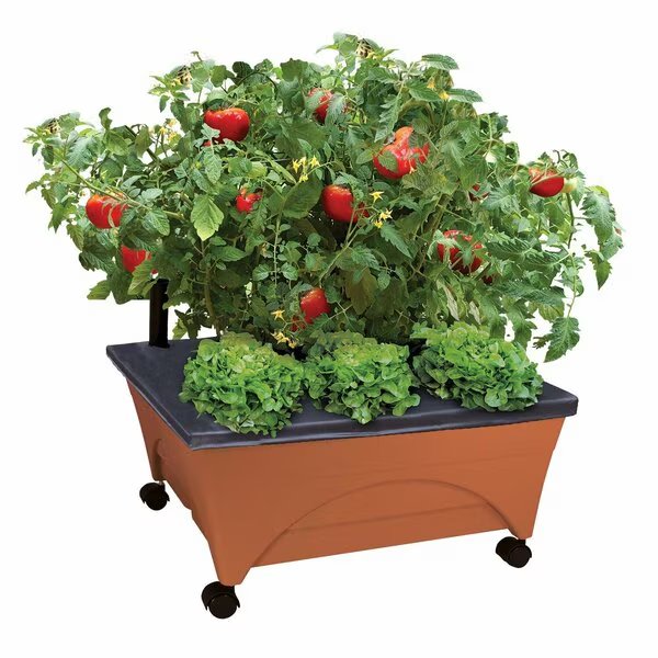 Raised Bed Grow Box, Self Watering and Improved Aeration, Mobile Unit with Casters, Emsco Group, Mfr#: 2340