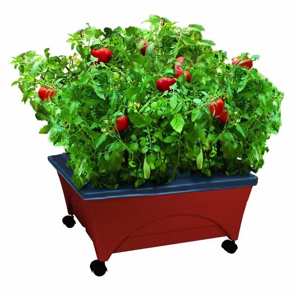 Raised Bed Grow Box, Self Watering and Improved Aeration, Mobile Unit with Casters, Emsco Group, Mfr#: 2350