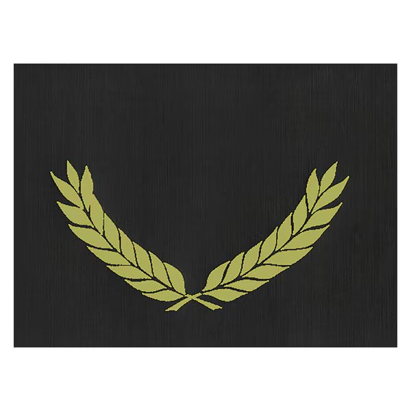 Gold Foil Stamped Certificate Folders, 10" x 13", Black, PK30, Hayes, Mfr#: VA342