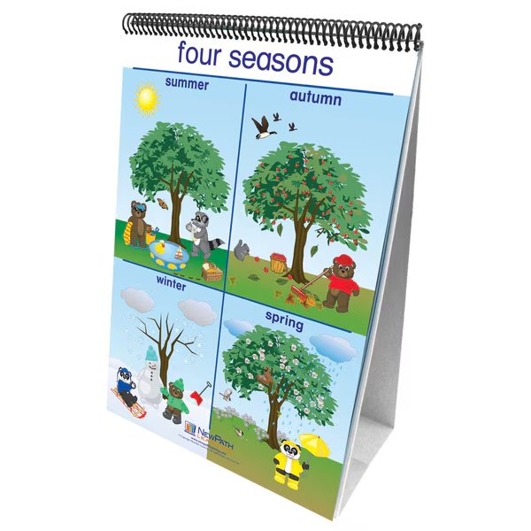 Early Childhood Science Readiness Flip Charts, Weather + Sky, Newpath Learning, Mfr#: 34-0024