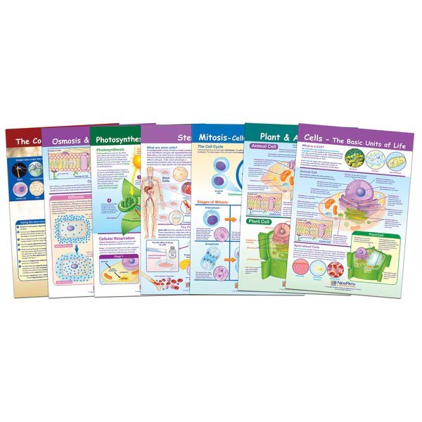 Cells Bulletin Board Chart Set, Grades 3-5, Newpath Learning, Mfr#: 94-7001