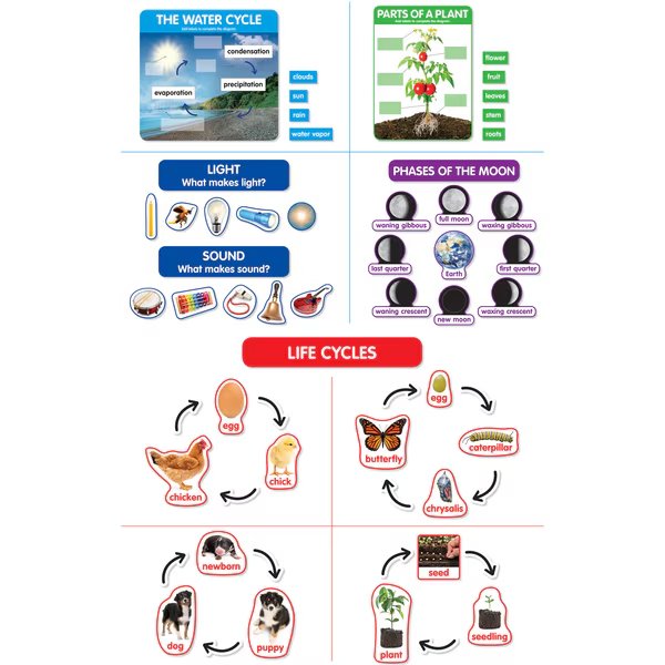 Early Science Concepts Bulletin Board Set, Scholastic Teaching Resources, Mfr#: 862624