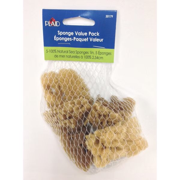 SEA SPONGE SET 1"" 5PC, Plaid, Mfr#: 30179