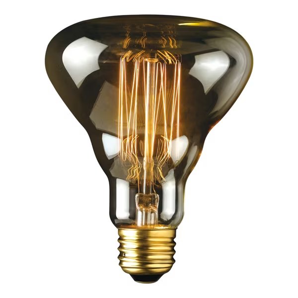 Labo Bulb, Globe Electric, Mfr#: 84654