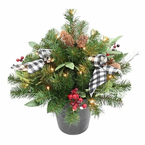 PINE BERRY URN FILLR B/O, Celebrations, Mfr#: DBCSURN22WWA