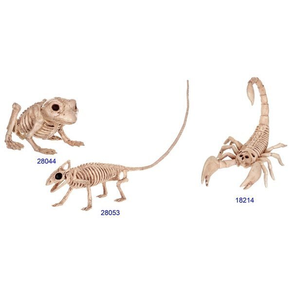 Mini Animal Skeletons Halloween Decor, Seasons, Mfr#: Z28061