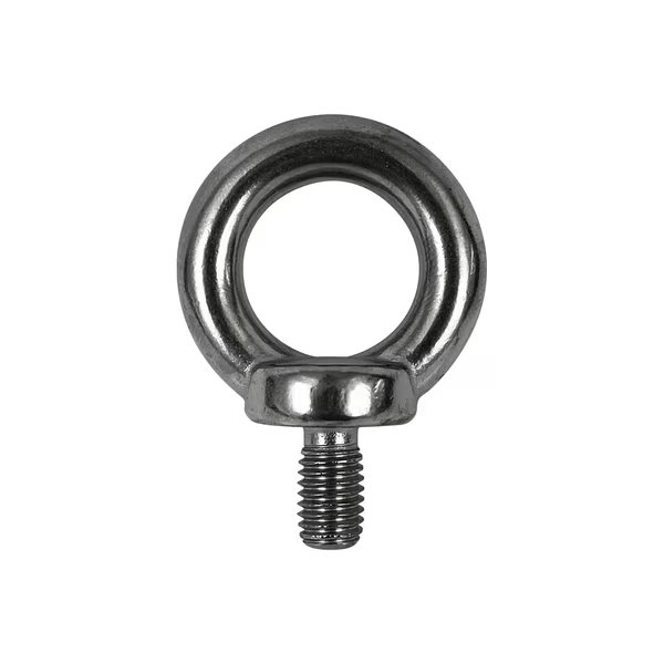 Eye Bolt With Shoulder, M20, 30 mm Shank, 40 mm ID, Stainless Steel, Polished, Aztec Lifting Hardware, Mfr#: SSD020