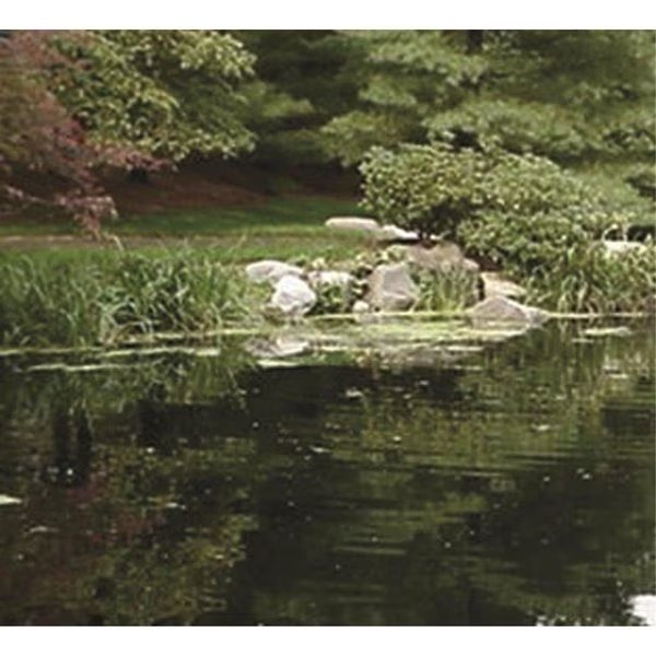 Jet Black Pond Dye, Precision, Mfr#: 430-WS