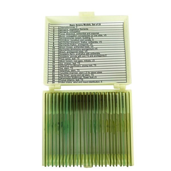 Basic Botany Models Slide Set of 25, United Scientific, Mfr#: UNSLBOT25