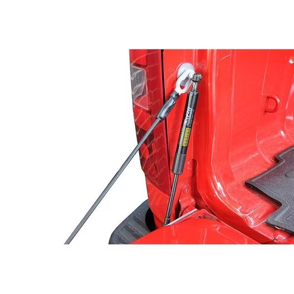 19-C COLORADO TAILGATE ASSIST, Dee Zee, Mfr#: DZ43105