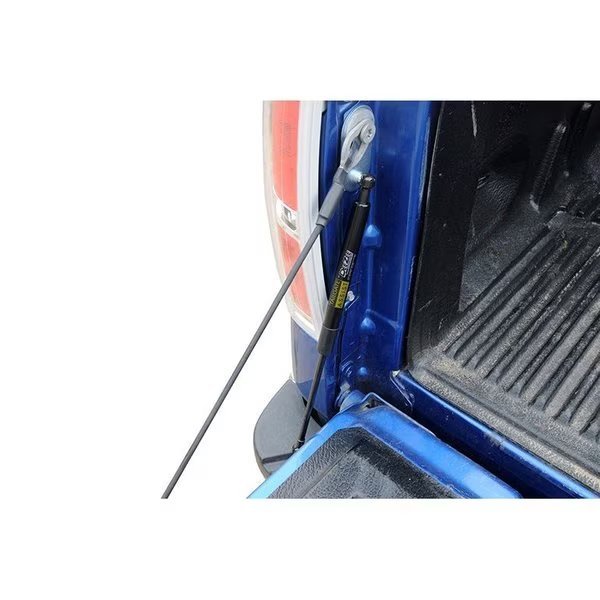 17-17 F250/F350 SUPER DUTY TAILGATE ASSIST, Dee Zee, Mfr#: DZ43205