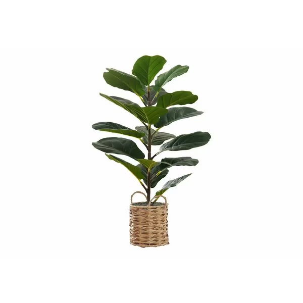 Artificial Plant 28" Tall Fiddle Tree, Indoor, Faux, Fake, Floor, Greenery, Potted, Real Touch, Monarch Specialties, Mfr#: I 9505