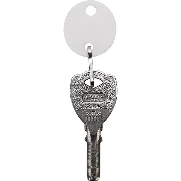 Key Tag, Oval, Plastic, 1-1/10"Wx3/4"Lx3-1/2"H, 20/PK, WE, Sparco, Mfr#: SPR02886