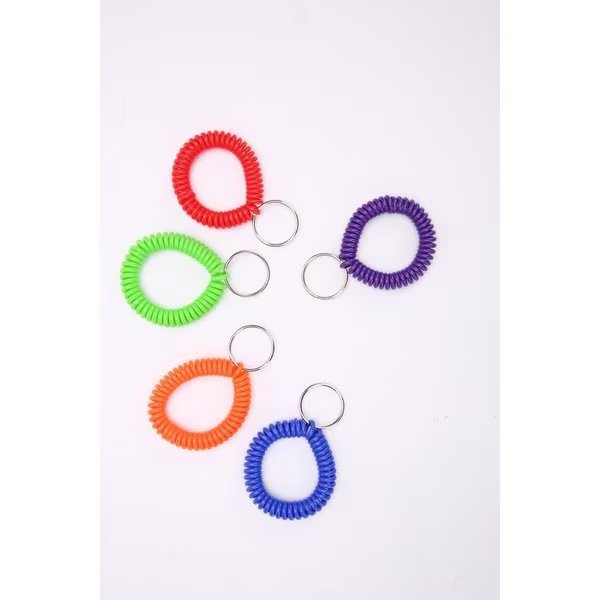 Key Holder, Coil, 2-1/10"Wx2-2/5"Lx2-1/10"H, 10/PK, Assorted, Sparco, Mfr#: SPR02884