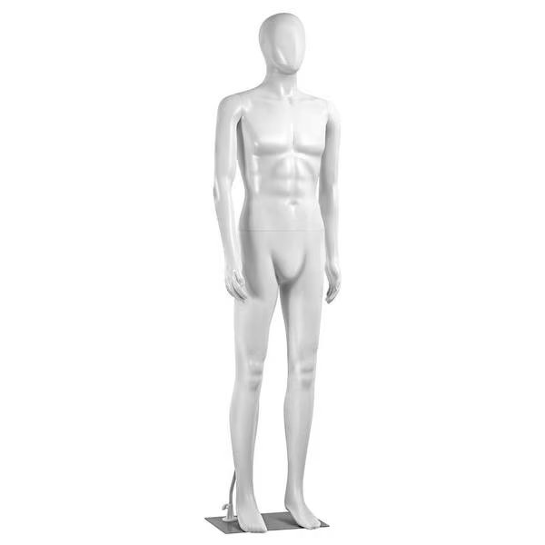 Plastic Mannequin Male, Serenelife, Mfr#: SLMAQML