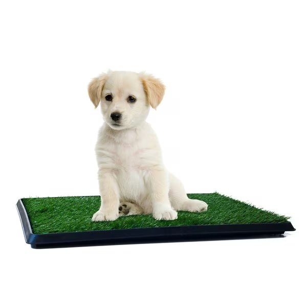 Pet Adobe Puppy Artificial Grass Potty Trainer Mat, Indoor/Outdoor Bathroom Rug for Small Dogs, Cats, Pet Adobe, Mfr#: 275624VME