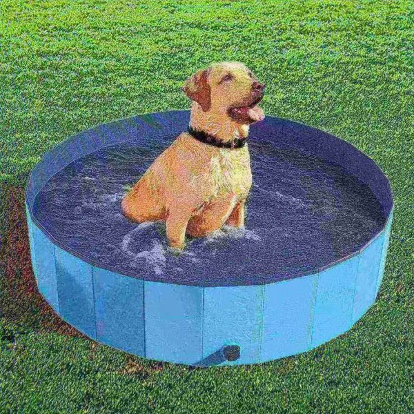 Pet Adobe Foldable Pool for Dogs and Kids, Blue, Pet Adobe, Mfr#: 361746SQQ