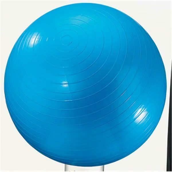 Exercise Ball 24In Blue, Olympian Athlete, Mfr#: OL91807