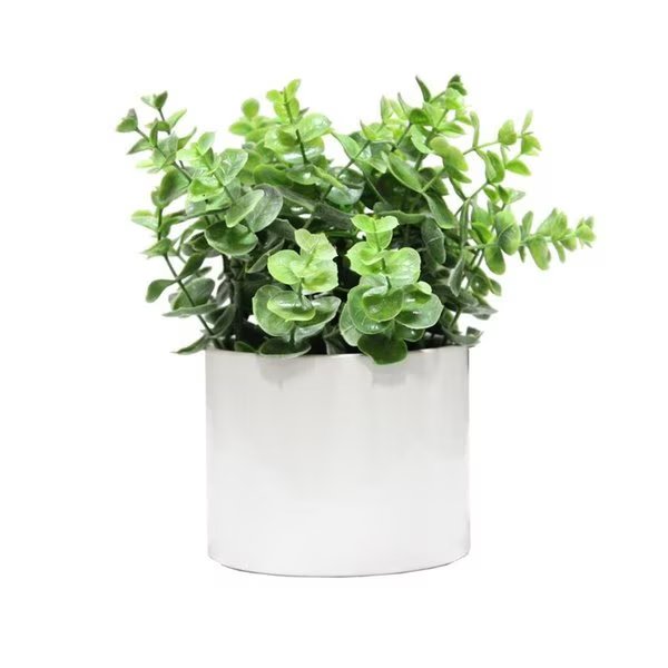 Admired by Nature ABN5P022-NTRL-E Artificial Eucalyptus Plant with Ceramic Pot - Green, Adlmired By Nature, Mfr#: ABN5P022-NTRL-E