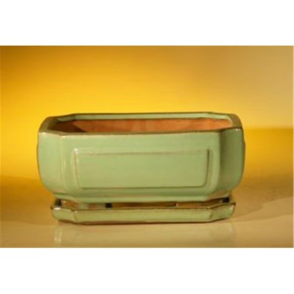 8.5 x 6.5 x 3.5 in. Ceramic Bonsai Pot, Light Green - Rectangle, Paisaje, Mfr#: PA2529708