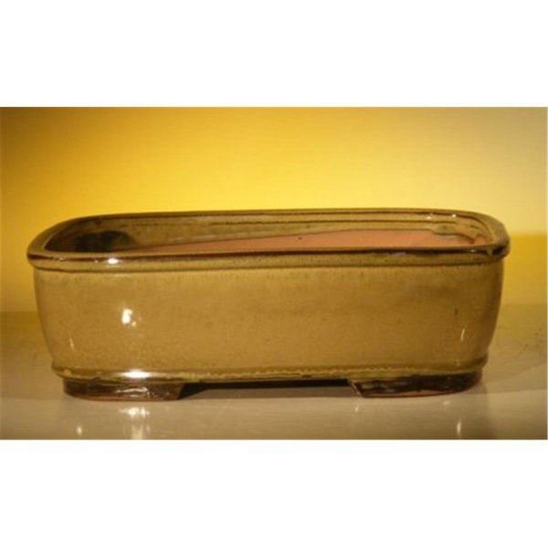 12 x 9.5 x 3.375 in. Ceramic Bonsai Pot, Olive Green - Rectangle, Paisaje, Mfr#: PA2529726