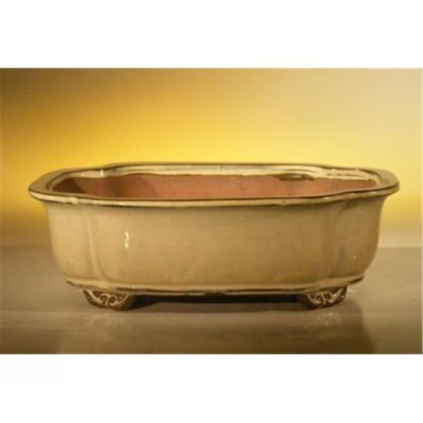 10 x 8 x 3.125 in. Ceramic Bonsai Pot, Beige - Rectangle, Paisaje, Mfr#: PA2529775