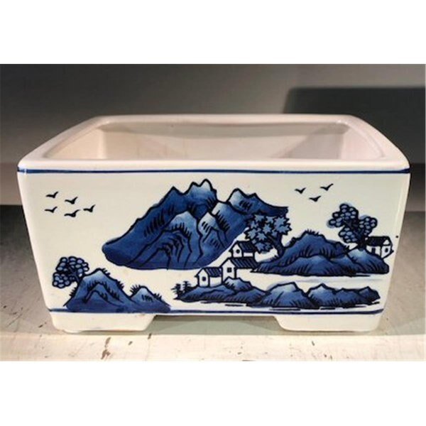 8.5 x 6.5 x 4 in. Porcelain Bonsai Pot, Blue & White - Rectangle, Paisaje, Mfr#: PA2529832