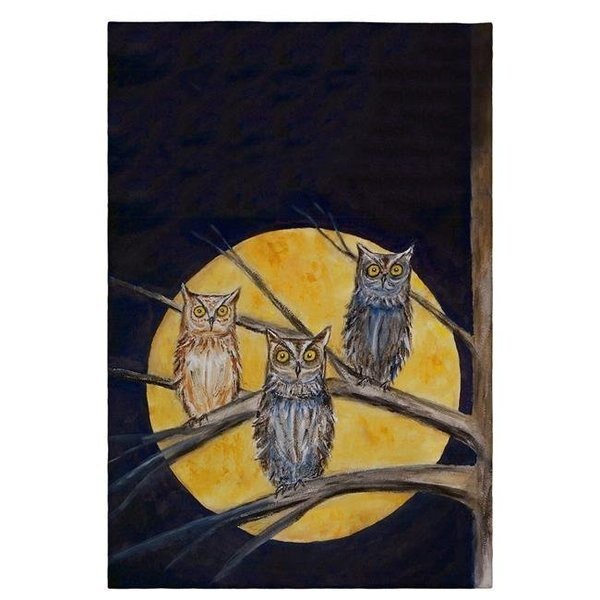 Betsy Drake GT248 Night Owls Guest Towel - 20 x 20 in., Betsy Drake, Mfr#: GT248