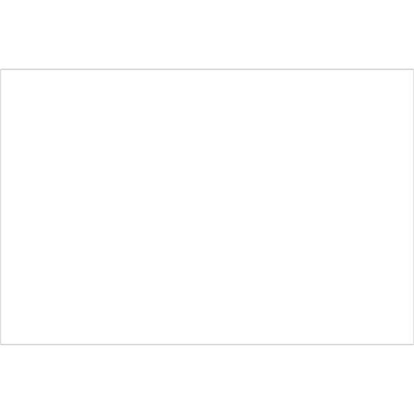 4 x 6 in. - White Block Out Labels, White - Roll of 500, Bondad, Mfr#: BO2536841