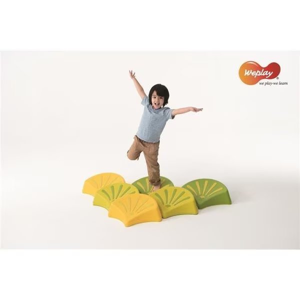 Weplay Plan Your Step KM1001, Weplay, Mfr#: KM1001