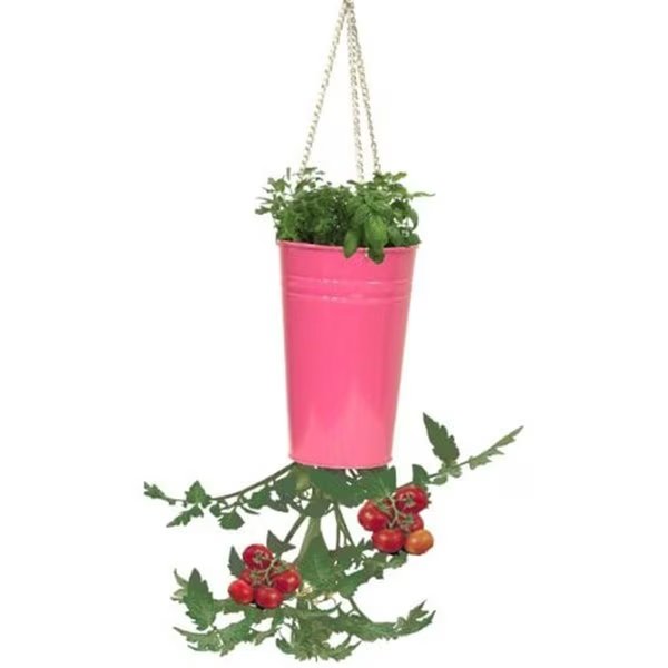 Enameled Galvanized Upsidedown Tomato Pepper Hanging Planter, HotPink, Next2Nature, Mfr#: NE2588646