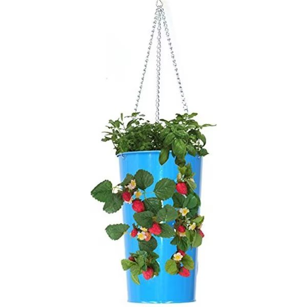 7 in. x 12 in. Enameled Galvanized Hanging Strawberry; Floral Planter - Blue, Next2Nature, Mfr#: NE1810488