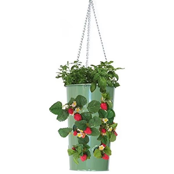 Enameled Galvanized Hanging Strawberry, Floral Planter - AppleGreen, Next2Nature, Mfr#: NE2588650