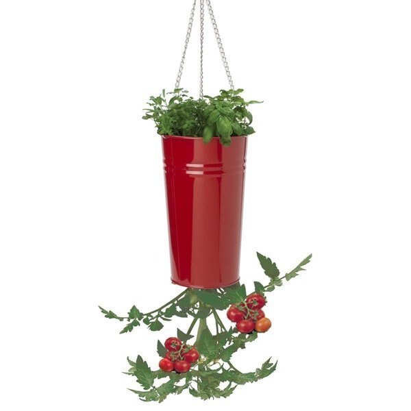 Enameled Galvanized Upsidedown Tomato, Pepper Hanging Planter - Red, Next2Nature, Mfr#: NE2588663